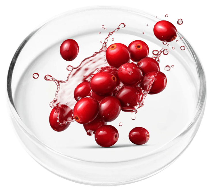 ingredient3
